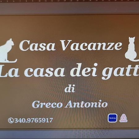 La Casa Dei Gatti Lägenhet Syrakusa Exteriör bild